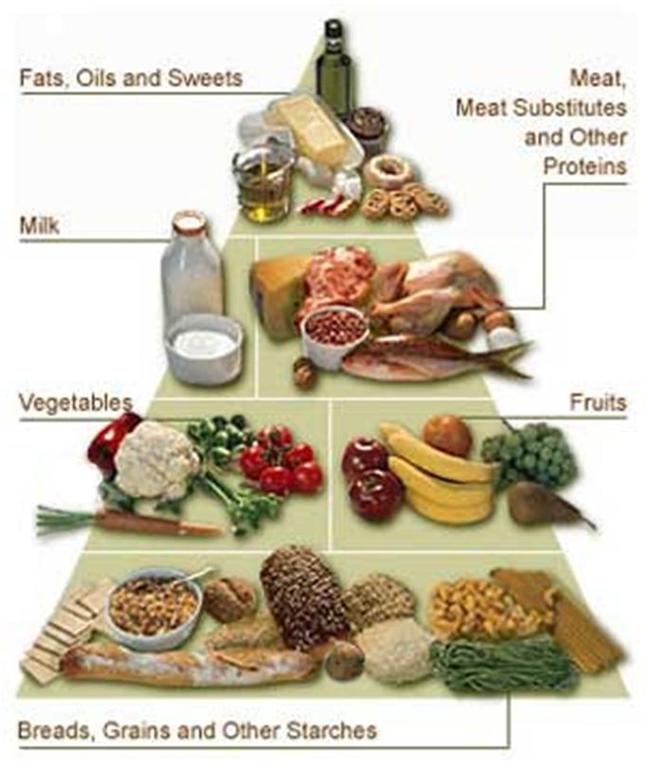 Balanced Diet Essay In Hindi